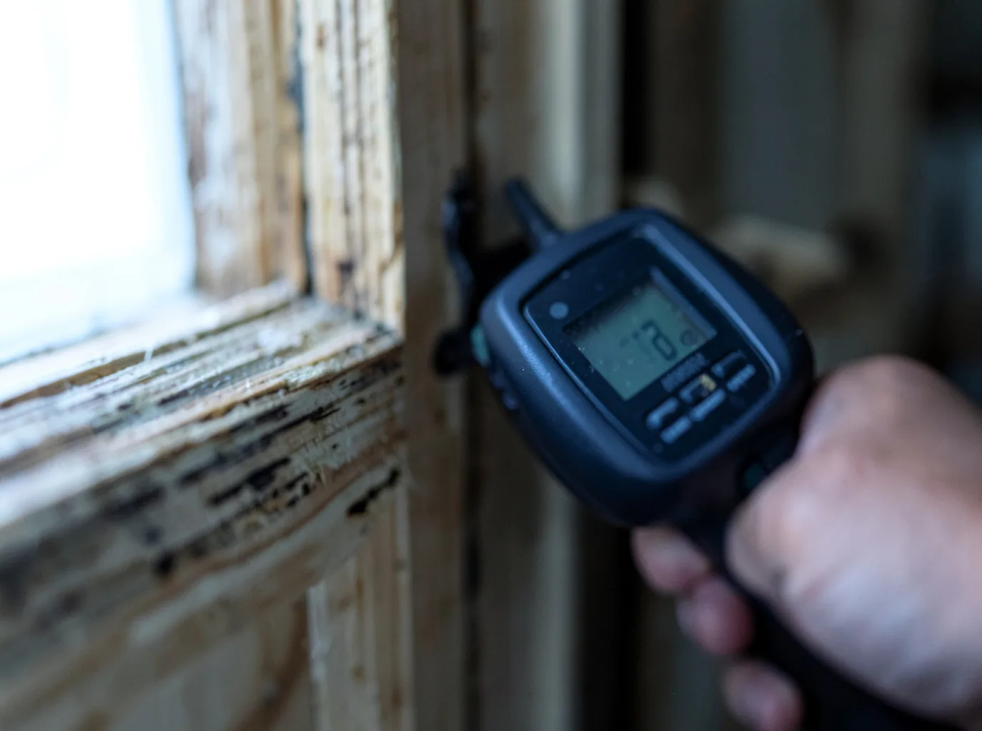 Moisture Inspection And Documentation in Malone, WA